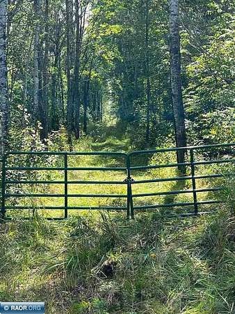180 Acres of Recreational Land for Sale in Ray, Minnesota