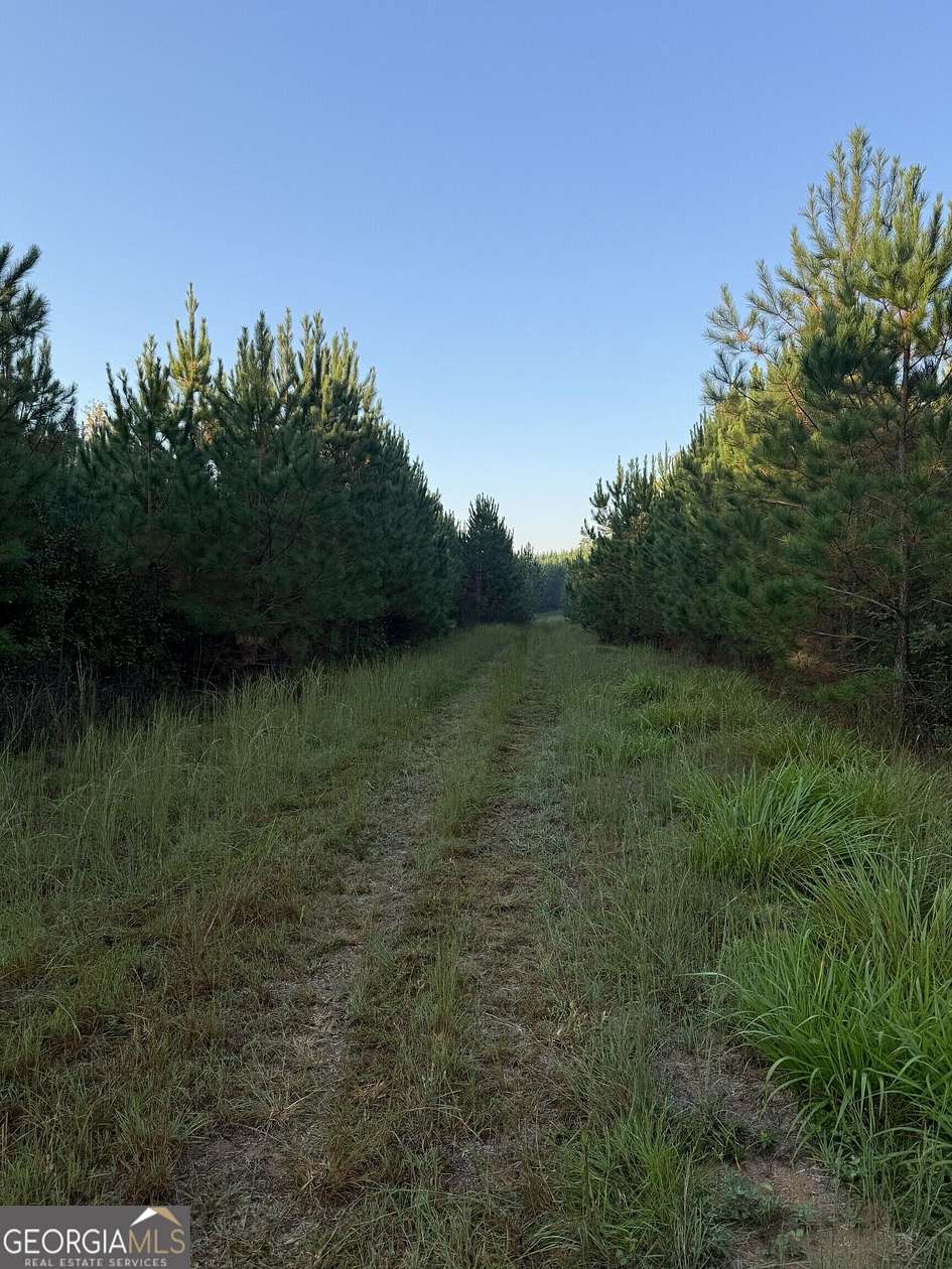56.3 Acres of Recreational & Residential Land for Sale in Eatonton, Georgia