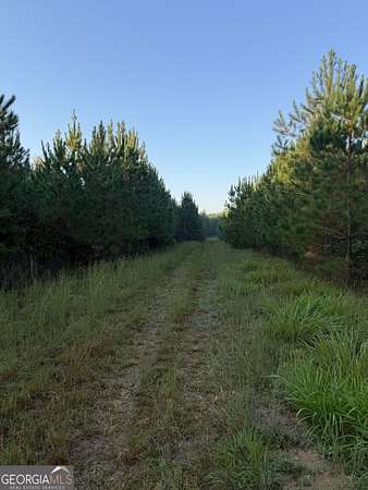 56.3 Acres of Recreational & Residential Land for Sale in Eatonton, Georgia
