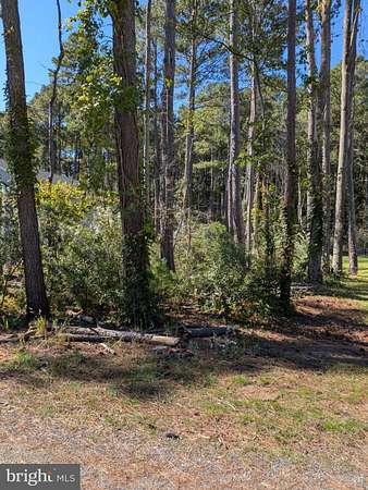 0.23 Acres of Land for Sale in Stevensville, Maryland