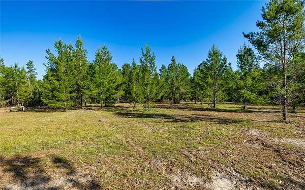 10 Acres of Residential Land for Sale in Youngstown, Florida