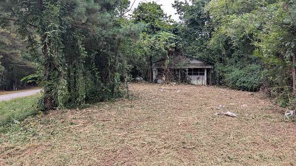 Residential Land for Auction in Wedowee, Alabama