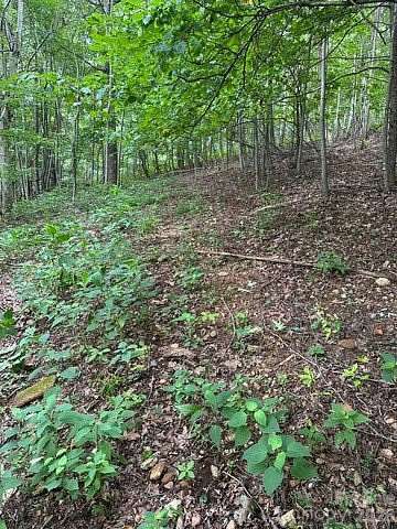 7.24 Acres of Residential Land for Sale in Moravian Falls, North Carolina