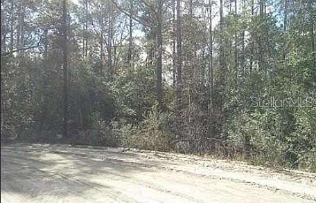 0.3 Acres of Residential Land for Sale in Umatilla, Florida