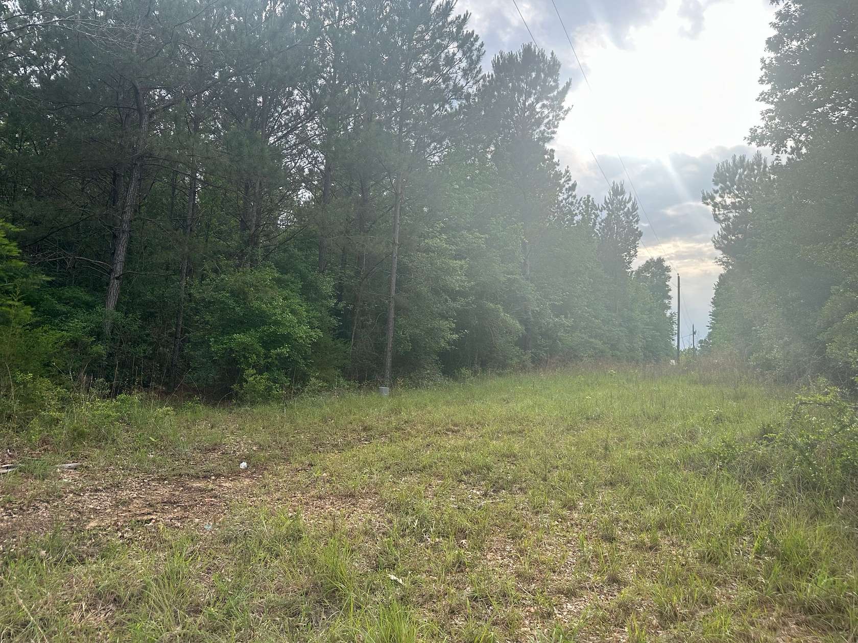 13 Acres of Recreational & Residential Land for Sale in Wesson, Mississippi