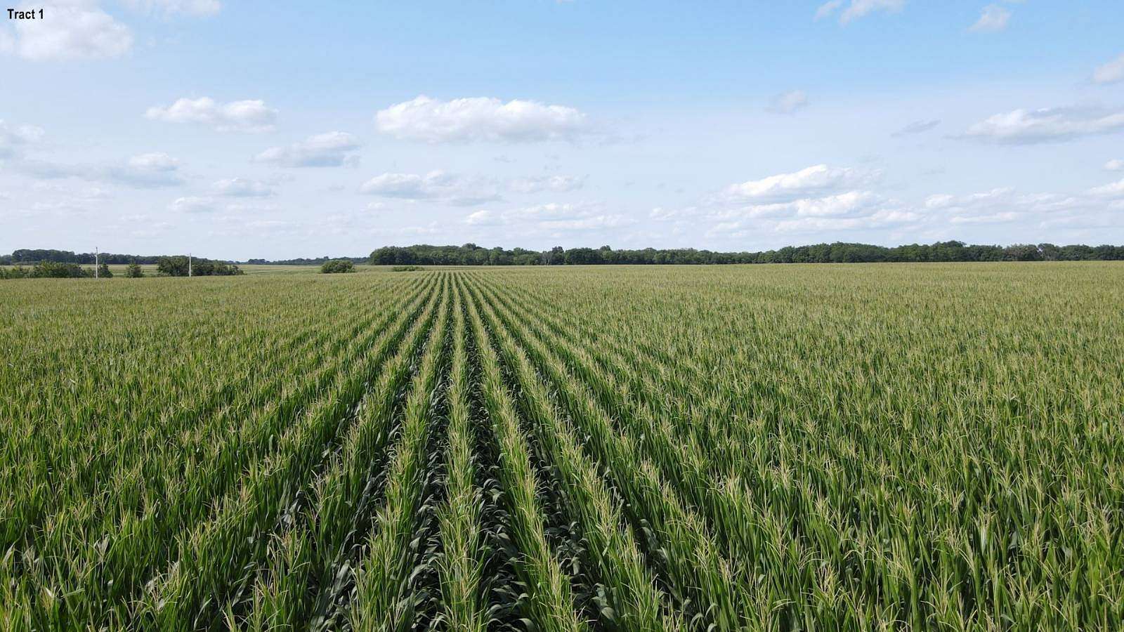 75 Acres of Agricultural Land for Auction in Trenton, Iowa