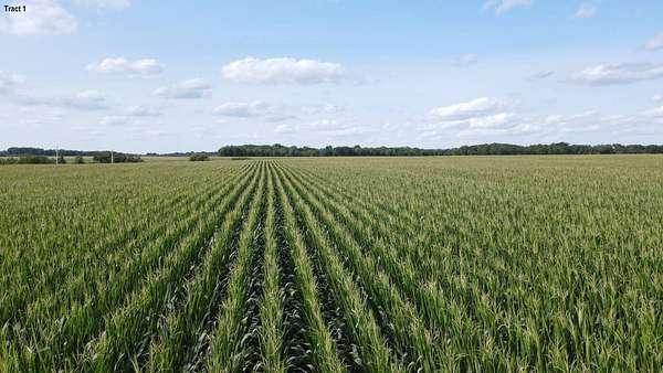 75 Acres of Agricultural Land for Auction in Trenton, Iowa