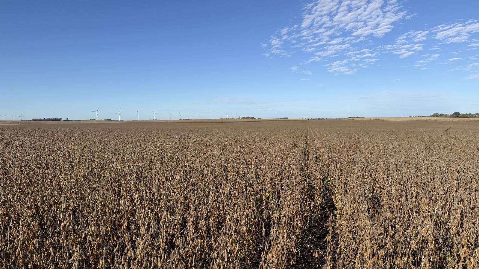155 Acres of Agricultural Land for Auction in Harris, Iowa