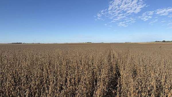 155 Acres of Agricultural Land for Auction in Harris, Iowa