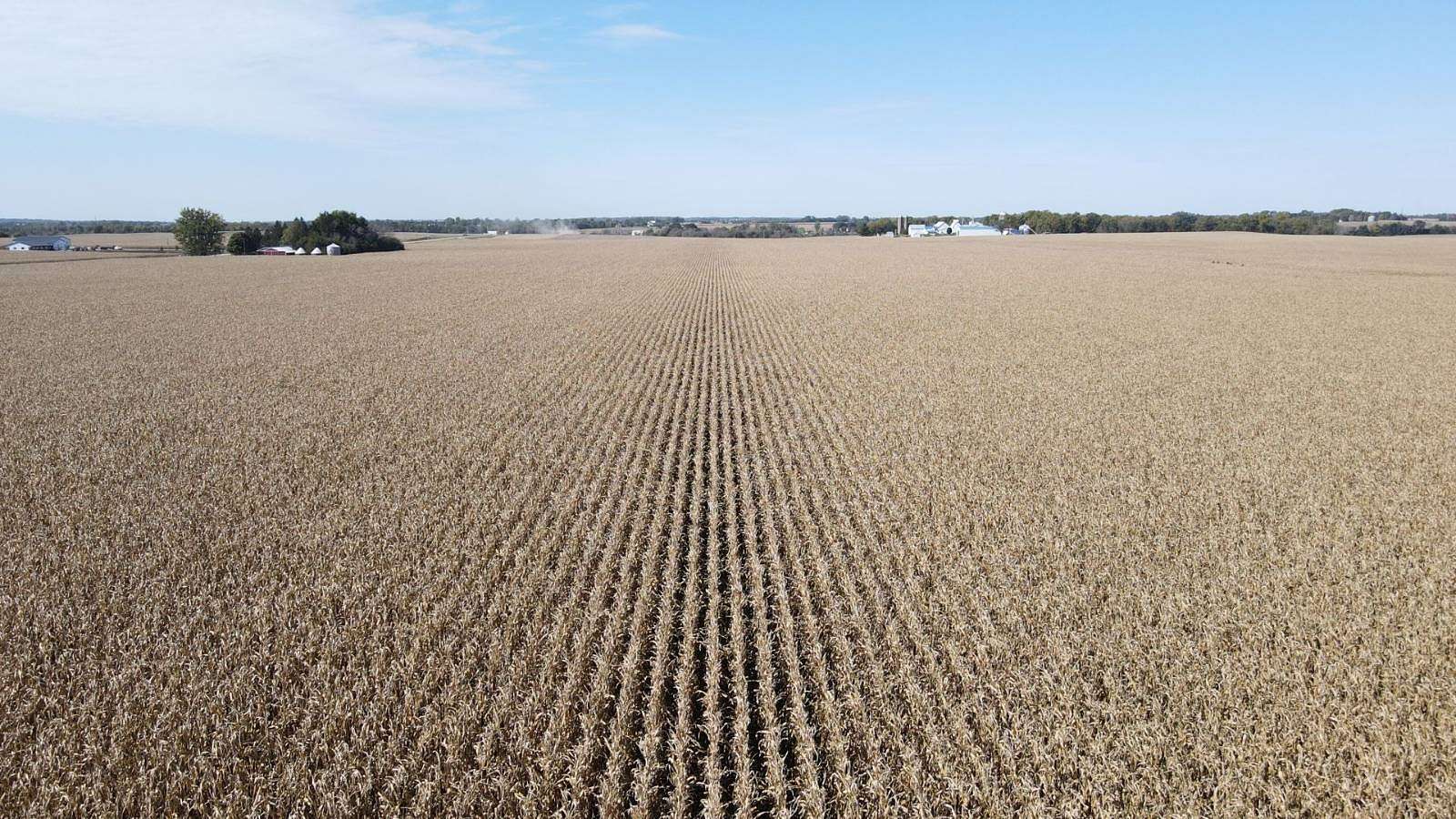 111 Acres of Agricultural & Residential Land for Auction in Alburnett, Iowa