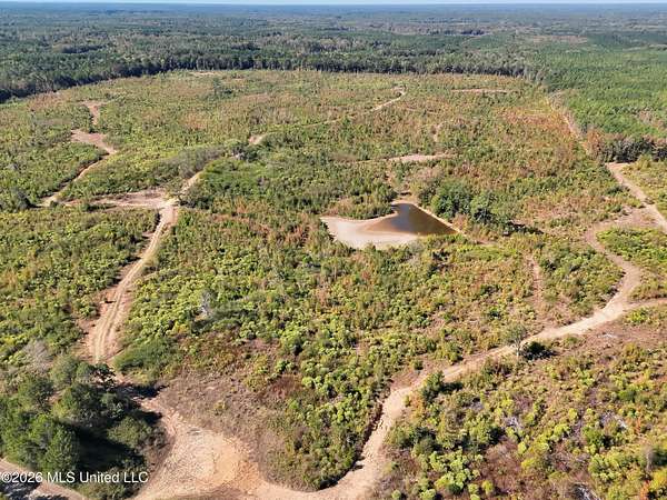 230 Acres of Recreational Land for Sale in Camden, Mississippi