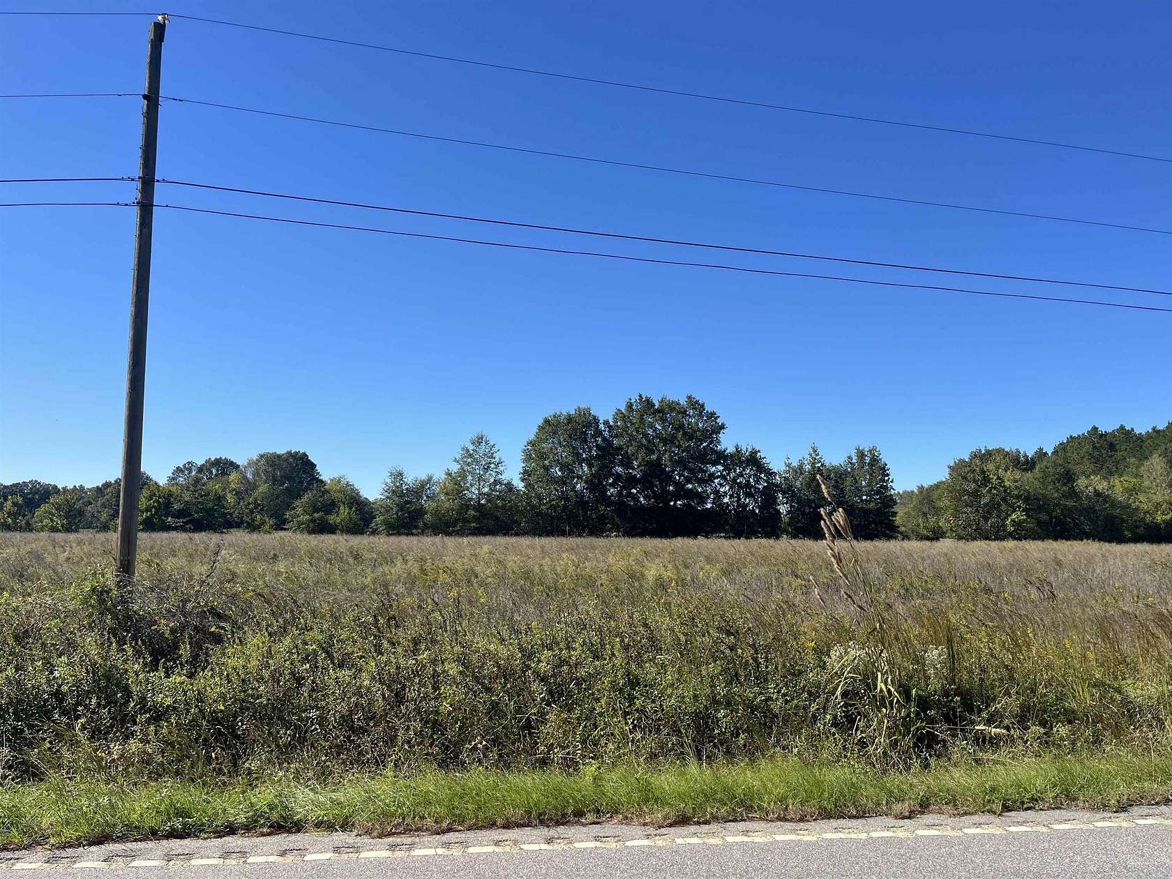 83.4 Acres of Land for Sale in Blenheim, South Carolina