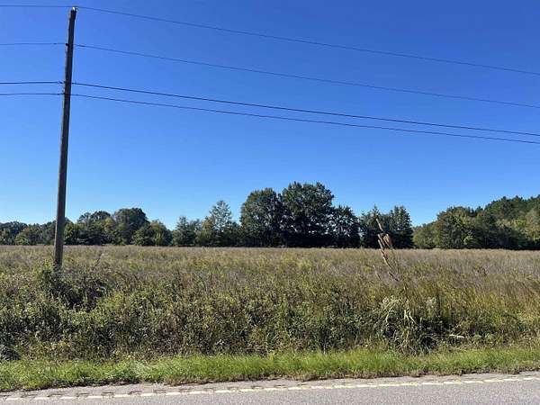83.4 Acres of Land for Sale in Blenheim, South Carolina