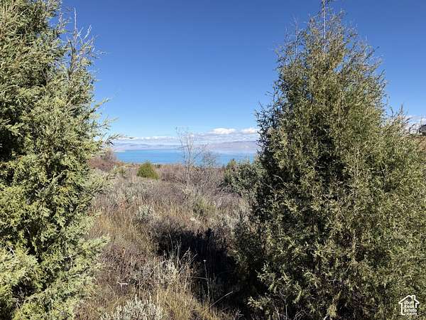 1 Acre of Residential Land for Sale in Garden City, Utah