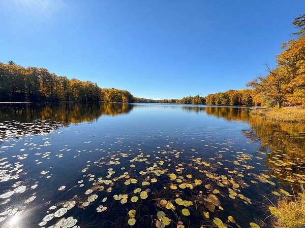 2.1 Acres of Land for Sale in Weyerhaeuser, Wisconsin