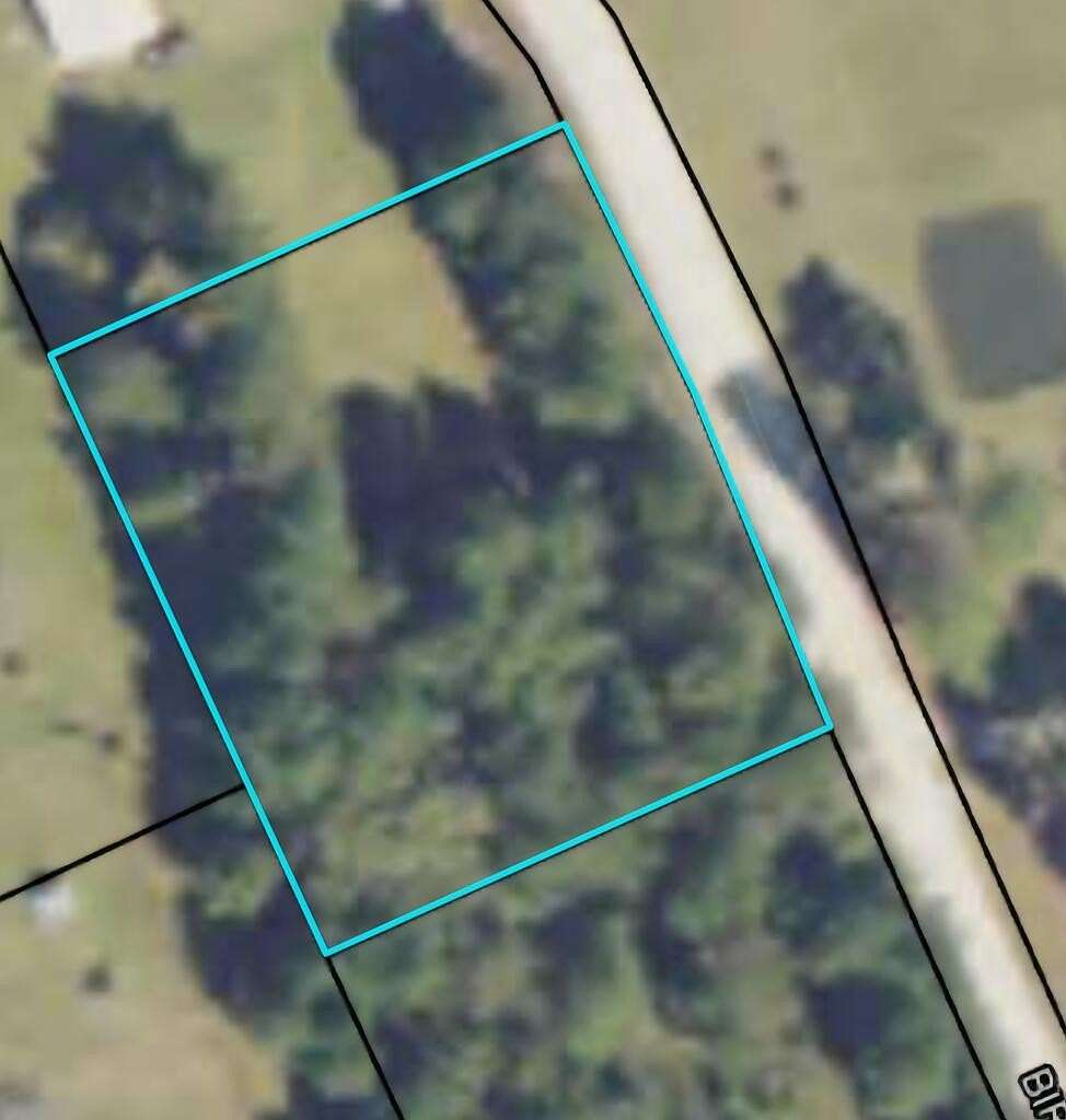 1 Acre of Residential Land for Sale in Nashville, Georgia