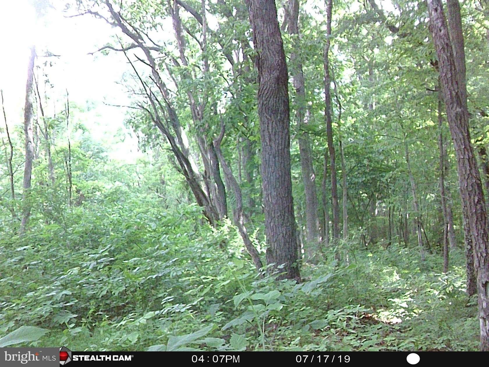 5.76 Acres of Land for Sale in Rileyville, Virginia