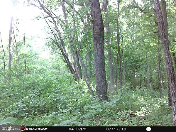 5.76 Acres of Land for Sale in Rileyville, Virginia