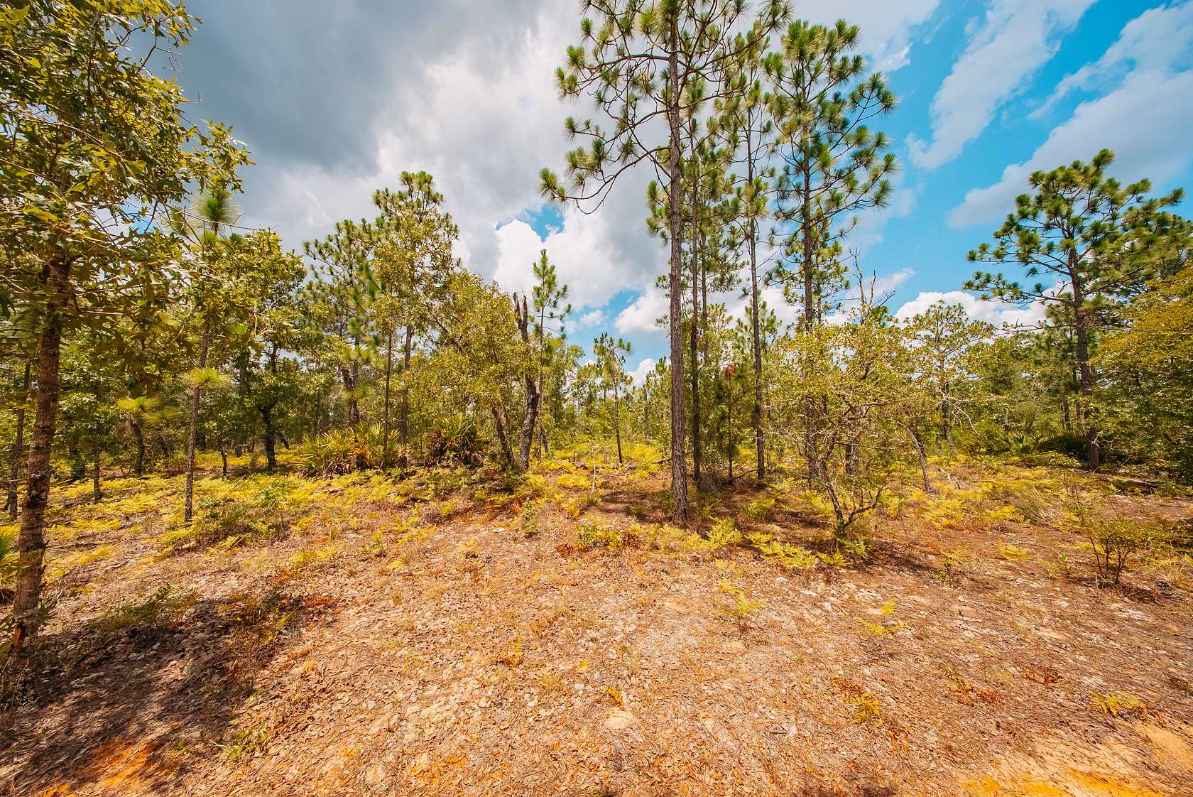 0.2 Acres of Residential Land for Sale in Interlachen, Florida