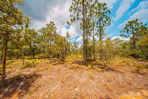 0.2 Acres of Residential Land for Sale in Interlachen, Florida