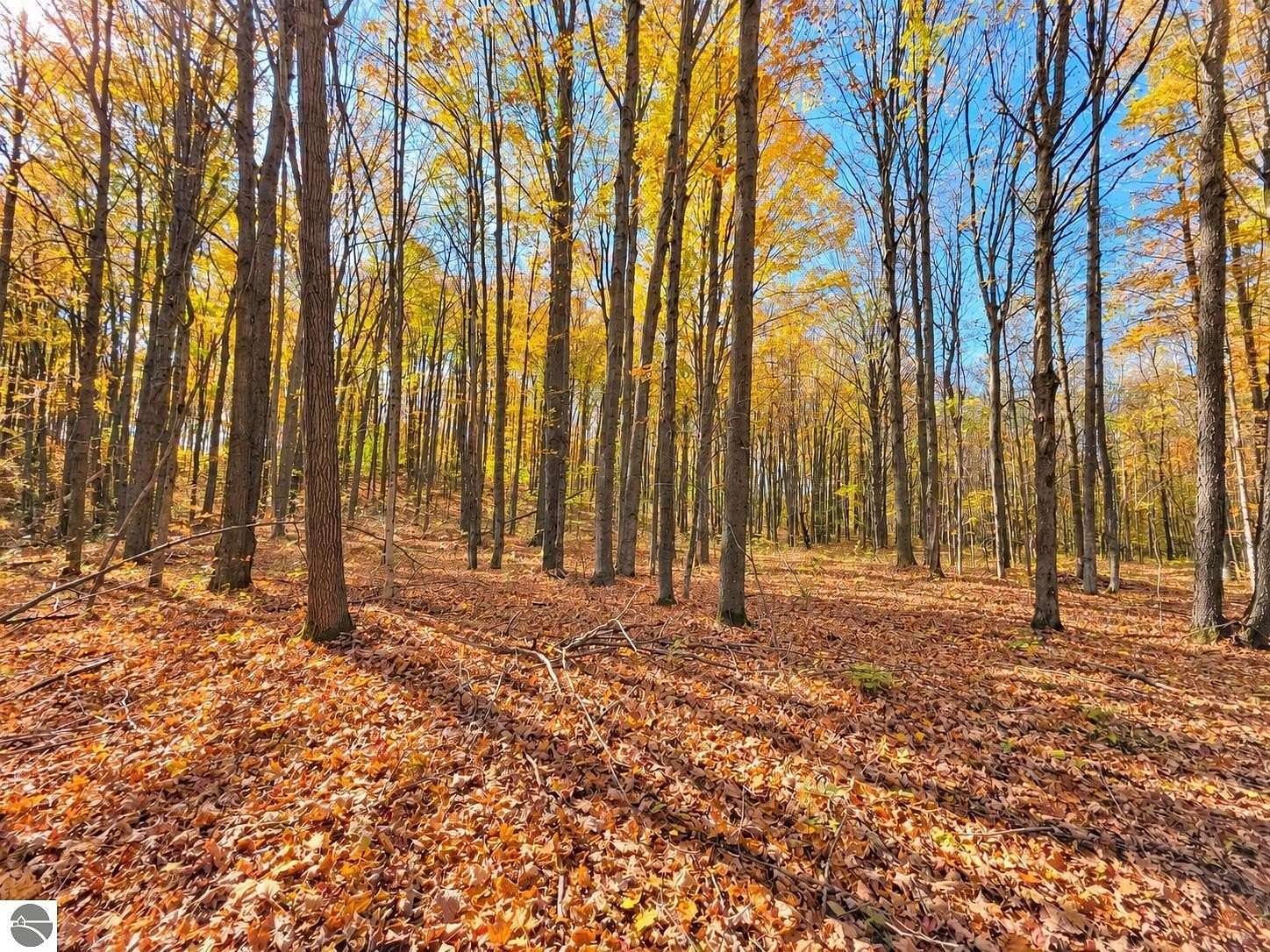 18 Acres of Land for Sale in Lake City, Michigan