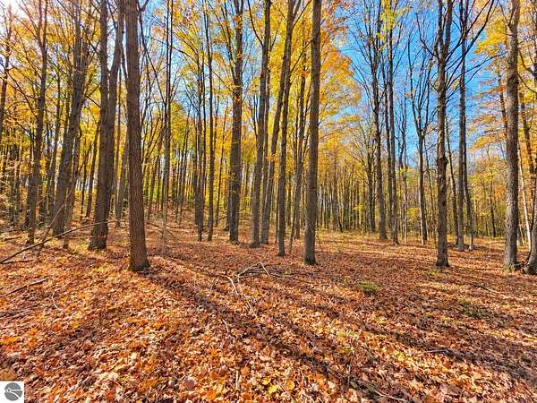 18 Acres of Land for Sale in Lake City, Michigan