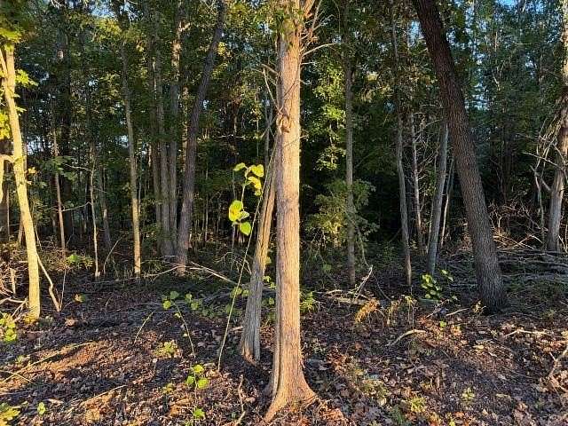 21.2 Acres of Recreational Land for Sale in Bowling Green, Kentucky