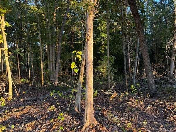 21.2 Acres of Recreational Land for Sale in Bowling Green, Kentucky