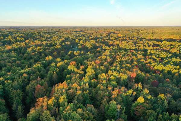 Land for Auction in Ashtabula, Ohio