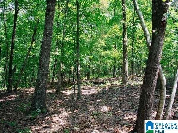 0.34 Acres of Residential Land for Sale in Talladega, Alabama