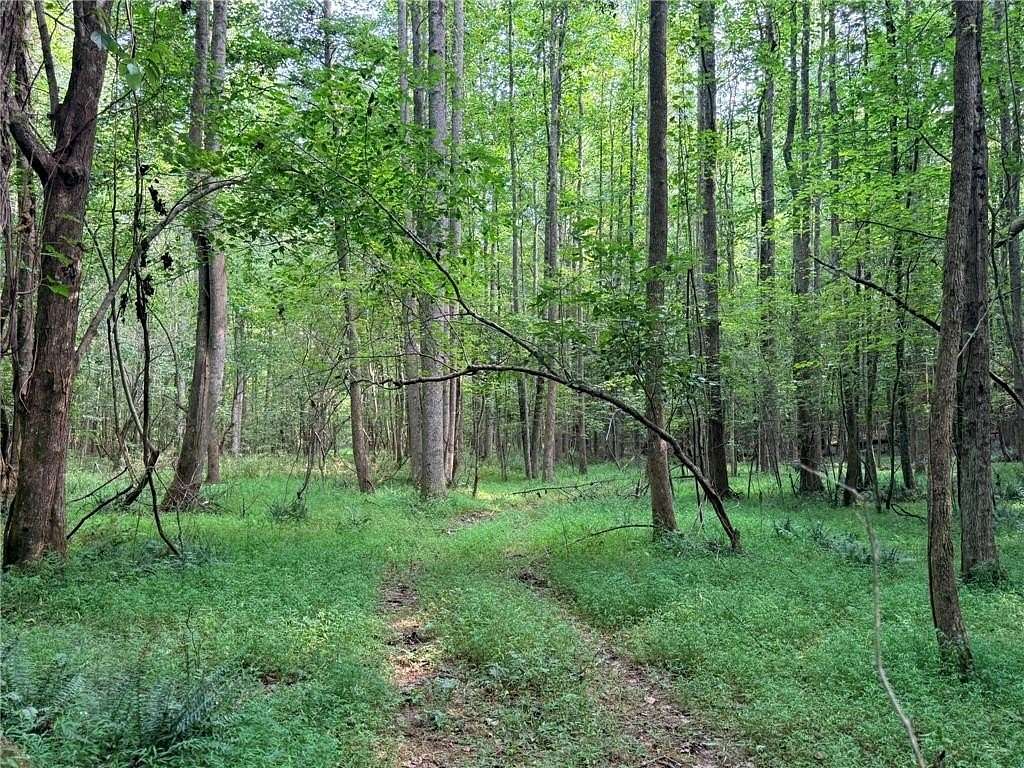 3 Acres of Residential Land for Sale in Jasper, Georgia