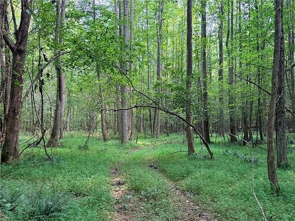 3 Acres of Residential Land for Sale in Jasper, Georgia