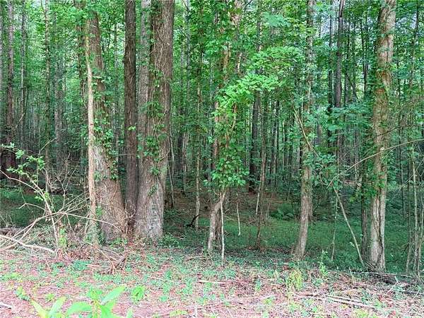 3.5 Acres of Residential Land for Sale in Jasper, Georgia