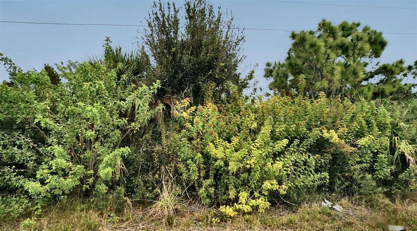 0.23 Acres of Residential Land for Sale in Fort Myers, Florida