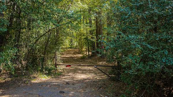 10.4 Acres of Recreational & Residential Land for Sale in Gladewater, Texas