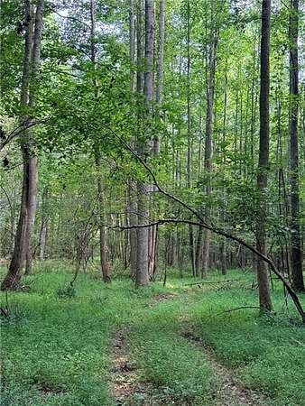 3.55 Acres of Residential Land for Sale in Jasper, Georgia