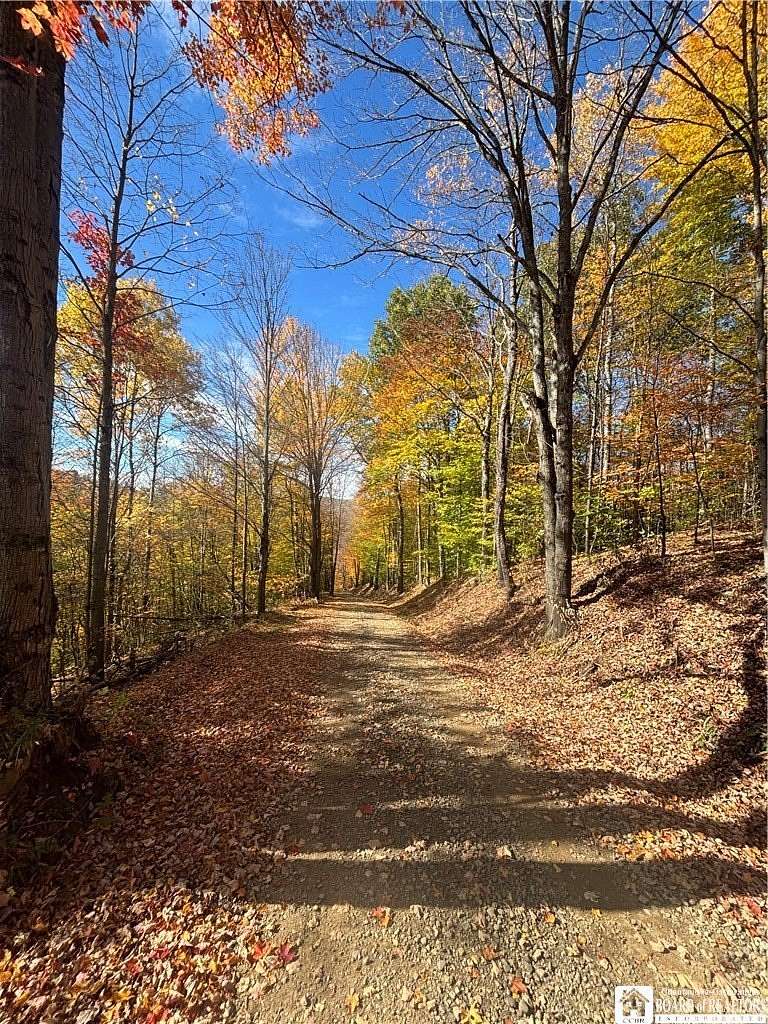 48 Acres of Improved Recreational Land for Sale in Whitesville, New York