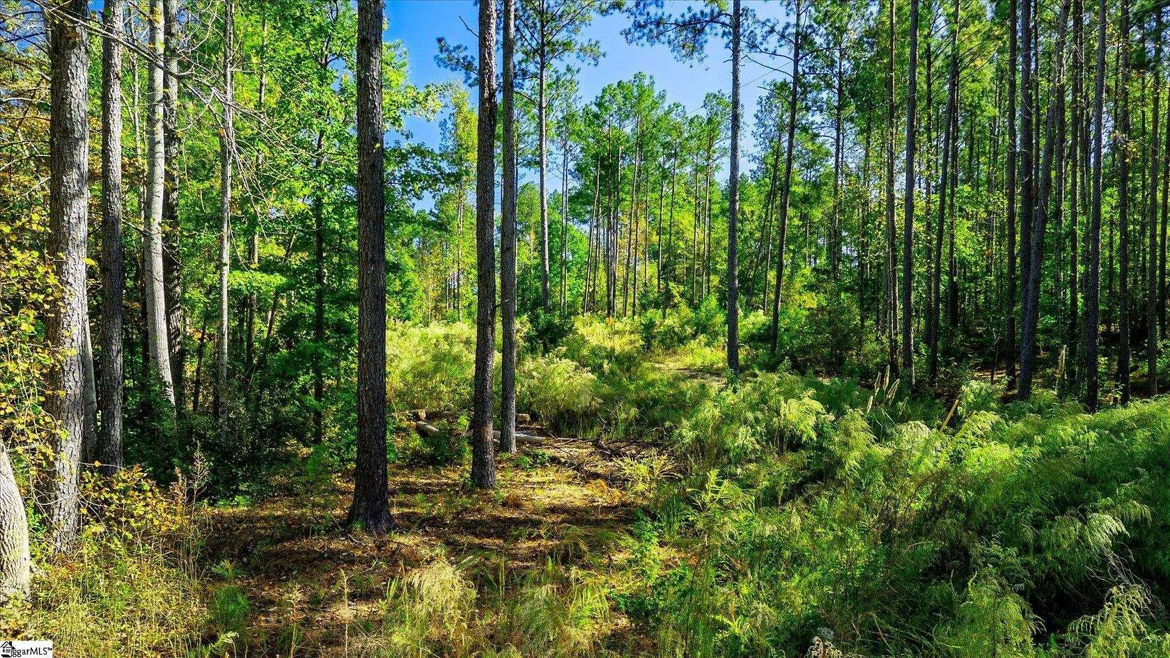 8.7 Acres of Residential Land for Sale in Easley, South Carolina