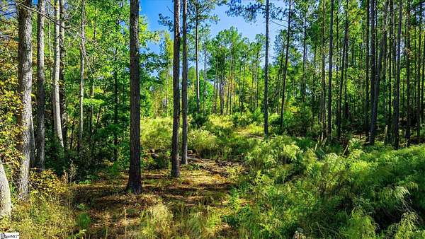 8.7 Acres of Residential Land for Sale in Easley, South Carolina