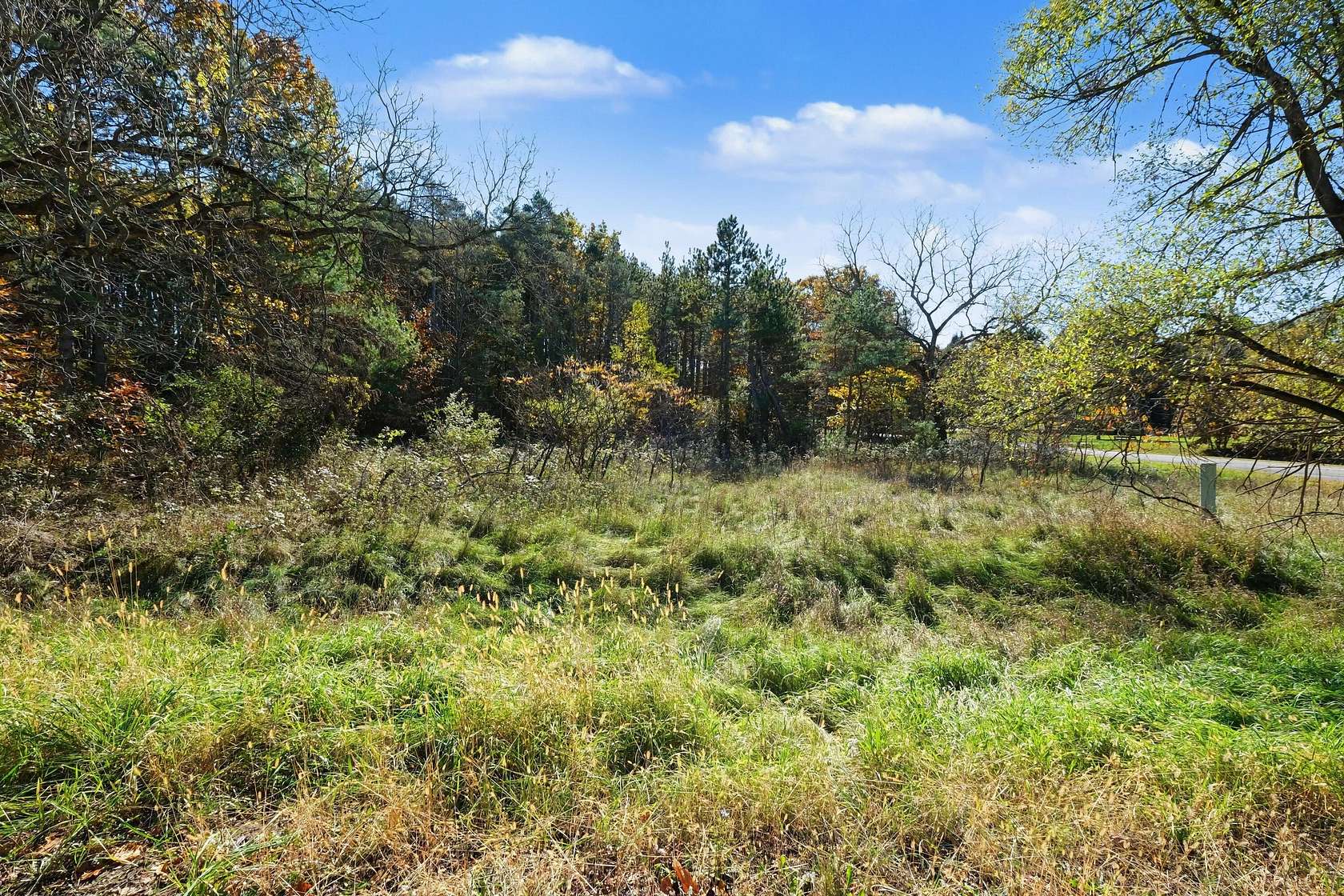 1 Acre of Residential Land for Sale in Cedar Springs, Michigan