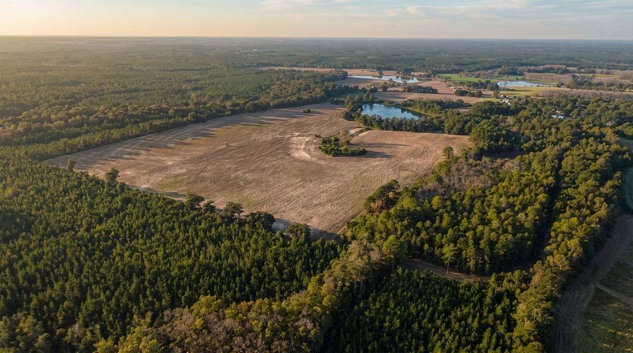143 Acres of Land for Sale in Florala, Alabama