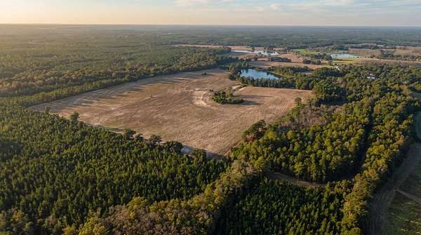 143 Acres of Land for Sale in Florala, Alabama