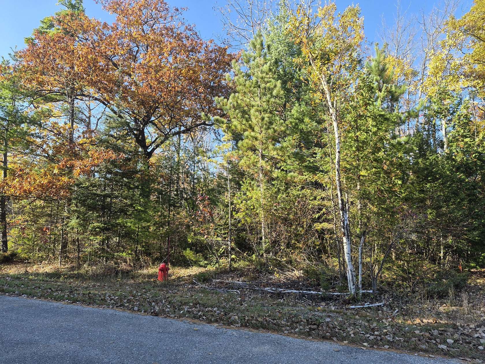 0.48 Acres of Land for Sale in Presque Isle, Michigan