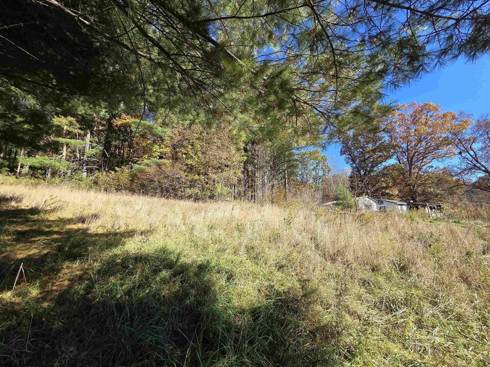12.3 Acres of Recreational Land for Sale in Kerens, West Virginia
