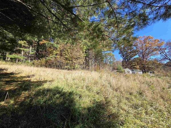 12.3 Acres of Recreational Land for Sale in Kerens, West Virginia