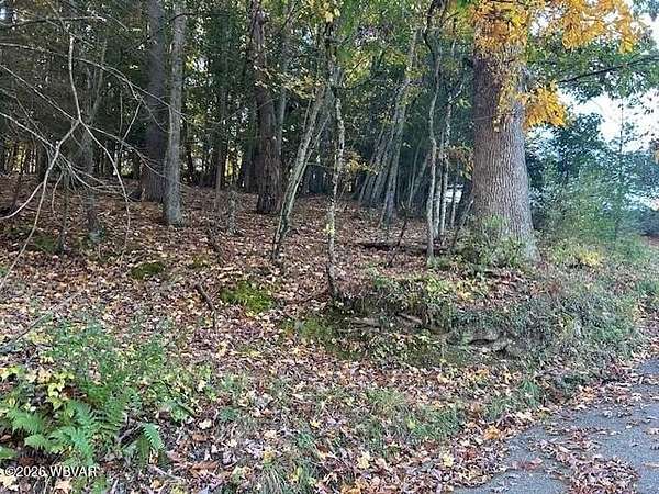 8.3 Acres of Residential Land for Sale in Hughesville, Pennsylvania