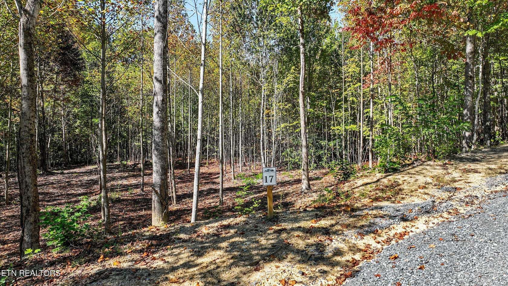 11.4 Acres of Land for Sale in Cosby, Tennessee