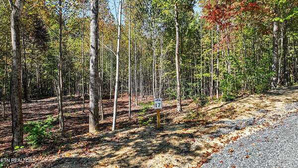 11.4 Acres of Land for Sale in Cosby, Tennessee