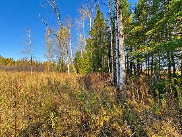45.7 Acres of Recreational Land for Sale in Catawba, Wisconsin