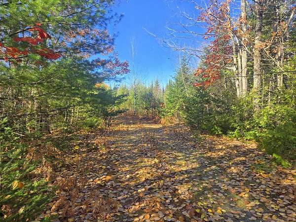 35 Acres of Recreational & Residential Land for Sale in Phillips, Maine